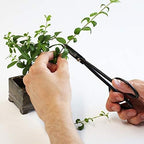 Hanafubuki Wazakura Twig Bonsai Scissors Made in Japan 7inch(180mm), Japanese Bonsai Garden Tools, Hasami Pruning Shears - Black