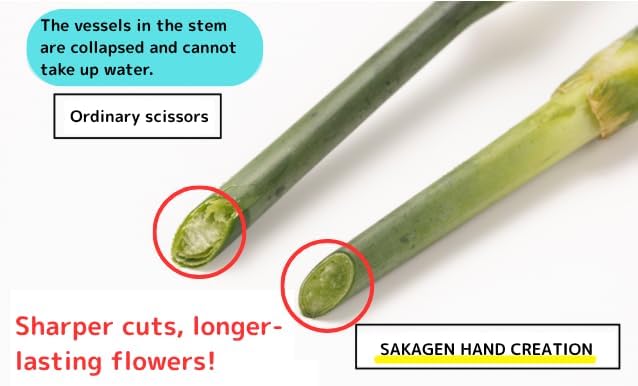 Pruning shears Made in JAPAN Garden Scissors Flower Shears SAKAGEN HAND CREATION P-180 (Atmos Green)