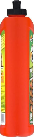 Hardwood Flr 4n1 24oz