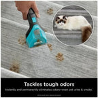 (2 pack) Deep Clean Pet Formula 48 oz for Upright & Portable Carpet Cleaners