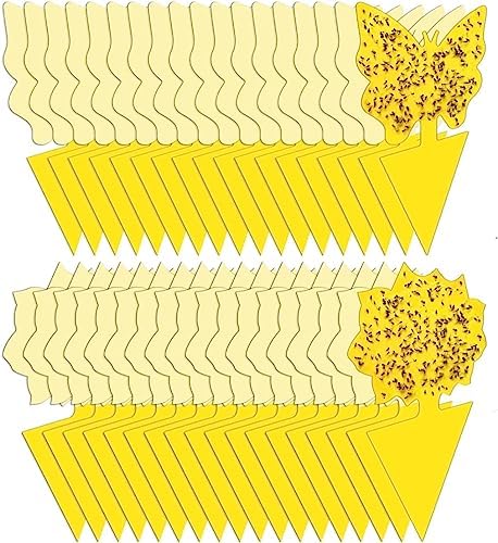 36 Pack Fruit Fly Traps for Indoors, Gnat Traps for House Indoor, Sticky Traps Fungus Gnats Killer for Mosquito and Flying Insects, Bug Pest Insect Catcher Killer for Houseplant