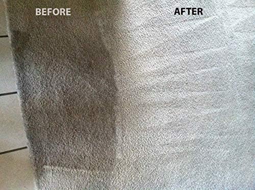 Naturama, All Natural Carpet Cleaner, Eco-Friendly EPA Registered. Made in the U.S. - Carpet Shampoo - Stain Remover - Cleaning Solution (1gal 4 Pack)