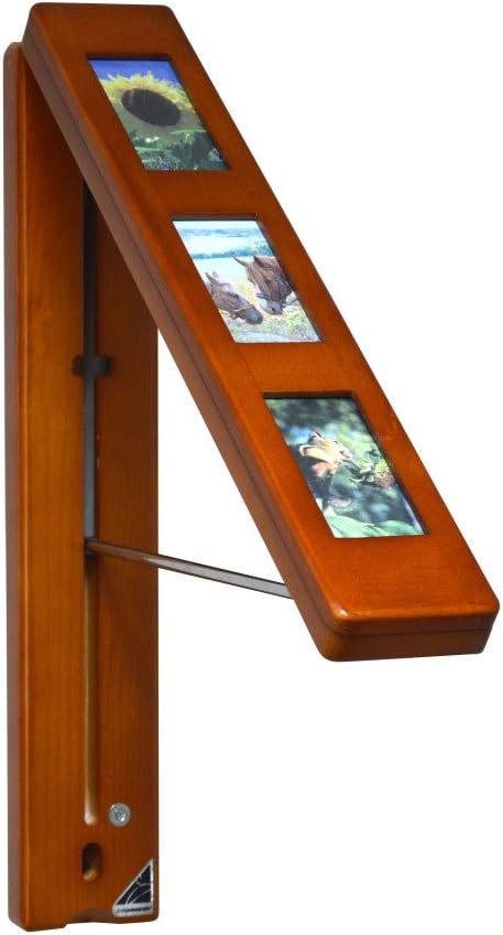 InstaHanger Picture Perfect Closet Organizer, The Original Folding Drying Rack, Wall Mount