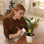 30PCS Fruit Fly Traps for Indoors Gnat Traps for House Indoor Yellow Sticky Traps for Plants Catcher for Whiteflies Fungus Gnat Mosquitoes Thrips... Stake Holders Included