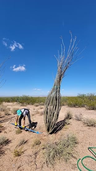 Heavy-Duty All-Steel Sharpshooter Shovel - Weighted Long Handle and Hardened/Heat-Sharpened Chromoly 15 Inch Head