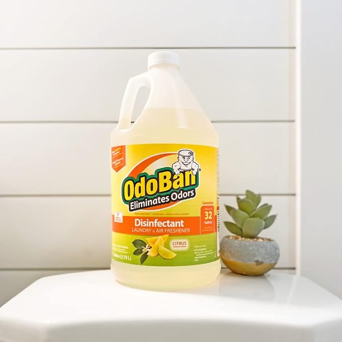 OdoBan Ready-to-Use Disinfectant and Odor Eliminator, Made in the USA, Citrus Scent, Set of 2, 32 oz Spray and 1 Gallon Concentrate