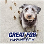 R'esolves Pet Expert High Traffic Carpet Cleaner Foam, 3X Pet Hair and Dirt Removal, 22oz, Pack of 1