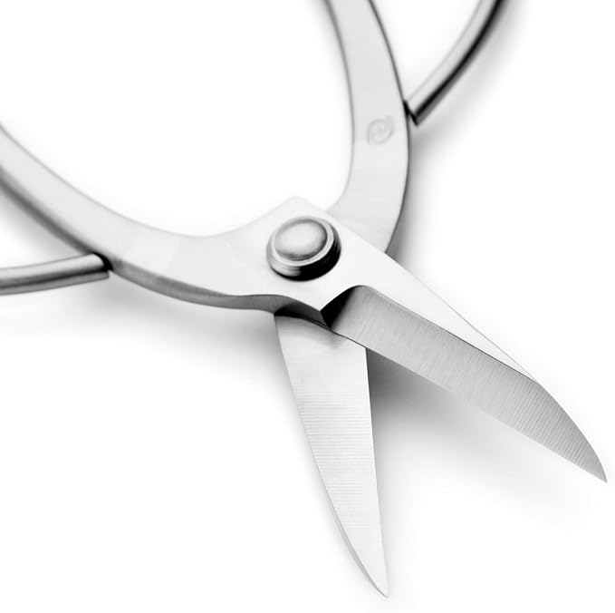 TianBonsai Bonsai Scissors Bonsai Tools (T 160 root pruning scissors)