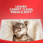Resollve High Traffic Carpet Cleaner Foam, Unscented, 3X Dirt Removal, Stain-Resistant Carpet Solution and Odor Remover, 22 oz, 1 pack