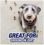 R'esolves Pet Expert High Traffic Carpet Cleaner Foam, 3X Pet Hair and Dirt Removal, 22oz, 1 Pack