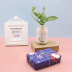 Vivifying Butchers Twine, 2pcs x 656 Feet Food Safe Cotton Bakers Twine String for Tying Meat, Making Sausage, Trussing Turkey, Roasting, Cooking and Packing(Beige)