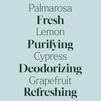 Plant Therapy Home Deodorizing Powder 16 oz, Odor Eliminator, Carpet Deodorizer, Multi-Use for Deep-Cleaning & Everyday Household Freshness, Powered by Pure Essential Oils