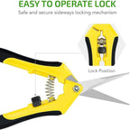 iPower 6.5 Inch Garden Hand Pruner Shears with Straight Stainless Steel Scissors, for Hydroponic Trimming Herb/Flowers/Vegetables/Plants, Yellow, 3-Pack