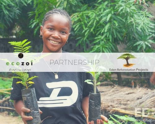 Bamboo Dish Brush Set, 6 Piece for Vegetable, and Kitchen Dish Cleaning, Sisal & Coconut Fibers with Bamboo Handles, Kitchen Brushes for Dishes, Pots, Pans