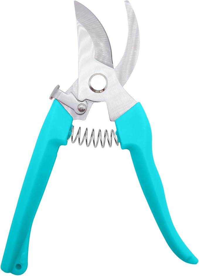 Pruning Shears for Gardening, 1 Pack Garden Scissors for Cutting Fresh Flowers, Floral Clippers for Plants, Fruits (Blue)
