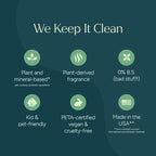 Puracy Multi-Surface Cleaner Spray - Plant-Powered All Purpose Cleaner - Surface Cleaner Solution As Seen on TikTok (Green Tea & Lime, 16 fl oz, 3 Pack)