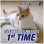 R'esolves Pet Expert High Traffic Carpet Cleaner Foam, 1 Pack 22oz, 3X Pet Hair and Dirt Removal,
