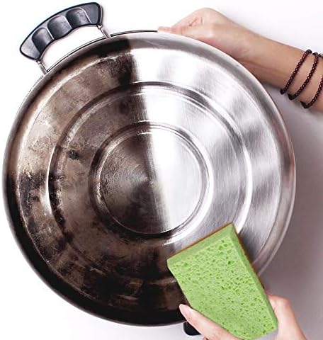 SCRUBIT 24 Pack Natural Sponges - Biodegradable Compostable Cellulose and Coconut Natural Sponges for Dishes, Eco Friendly Non Toxic Kitchen Sponge