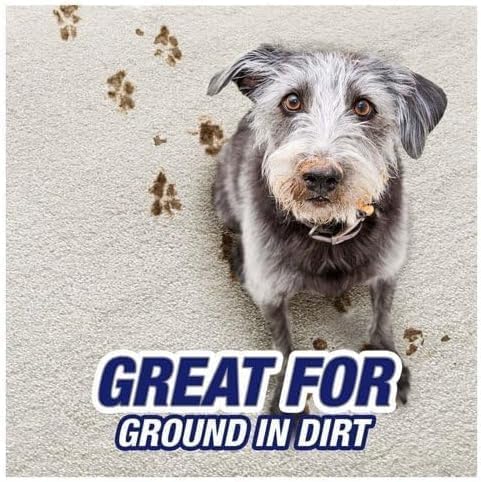 R'esolves Pet Expert High Traffic Carpet Cleaner Foam, 1 Pack 3X Pet Hair and Dirt Removal, 22oz