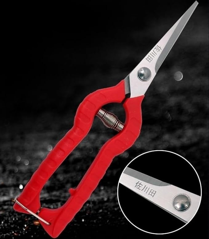 Extra Short Edge Stainless Steel Pruning Shears Fruit Trees Bonsai Sharp Garden Scissors Tool
