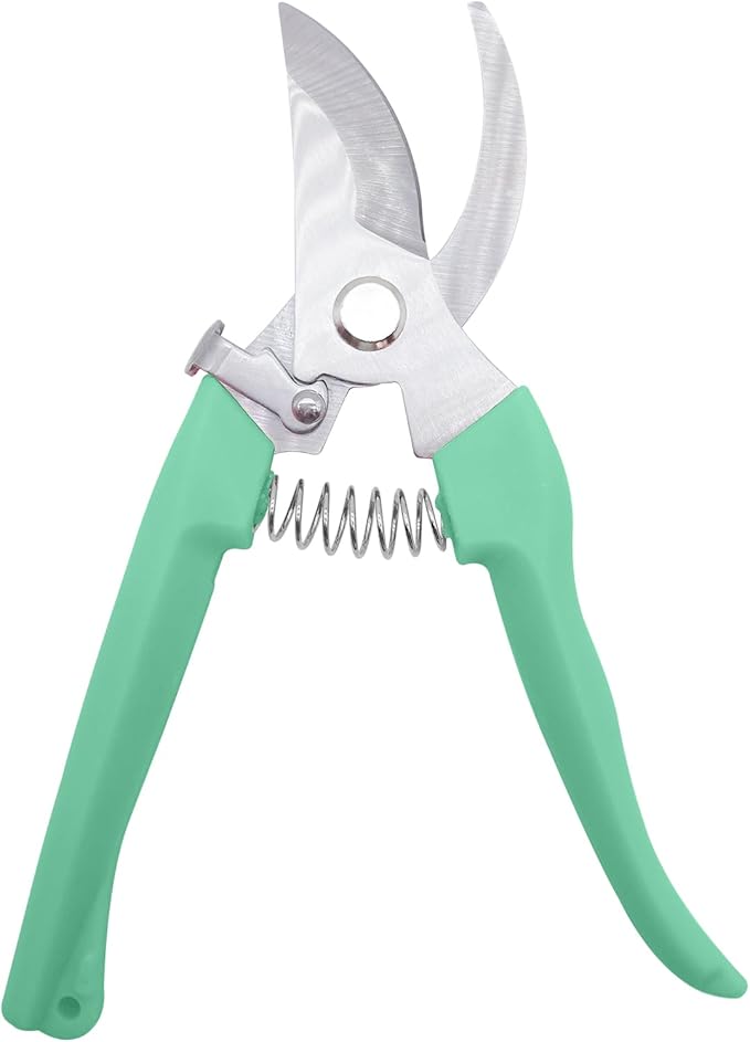 Pruning Shears for Gardening, 1 Pack Garden Scissors for Cutting Fresh Flowers, Floral Clippers for Plants, Fruits (Green)