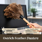 Feather Duster with Ostrich Feathers Wooden Handle 14" – Natural Reusable Duster for Cleaning, Furniture & Shelves, Blinds, Ceiling Fan, Dusting Tool for Home, Office, Delicate Surfaces - 2 Pack