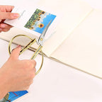 Wasan Gold Plated Dragon and Phoenix Relief Design Bonsai Scissors, Chinese Shears Household Traditional Scissors for Sewing, Art Craft, Food Paper Cutting - 2 Packs (5" and 6")