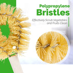Stanley Home Products Original Vegetable Brush - Sturdy Compact Kitchen Brush for Small to Medium Veggies and Fruits - Removes Dirt Cleans Effectively Perfect for Home Use (1 Pack)