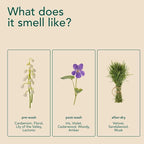 Kind Laundry In Wash Scent Booster Beads - Wood Haven - 100% Plant Based - Natural Laundry Booster Beads & Smell Deodorizer - Environment Friendly Odor Eliminator for Clothes (320 grams)