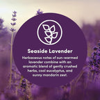 Clean Revolution Natural Fabric Softener Dryer Sheets, 80 Sheets, 160 Loads, Seaside Lavender, Naturally Derived, Sensitive Skin Safe, Made in the USA