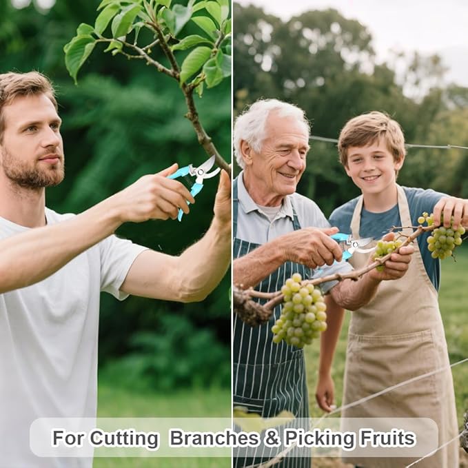 2 Pack Stainless Steel Pruning Shears & Garden Shears, Sharp Bypass & Straight Blade Garden Scissors, Comfortable Grip & Safety Lock for Pruning, Cutting and Fruit Picking