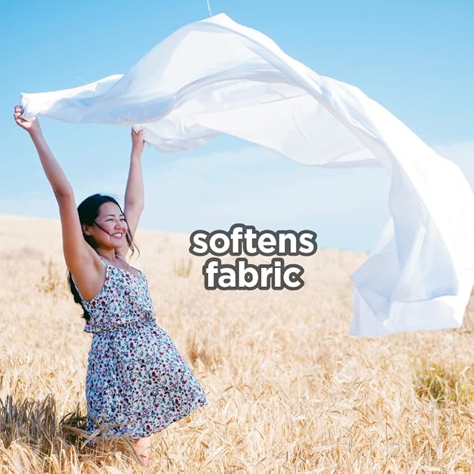 Dryer Sheets: Spring Lavender Scented Laundry Fabric Softener Sheets - Reduces Wrinkles - Controls Static - Softens Fabric (240 Count)