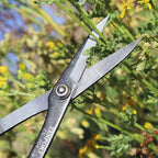Zenport ZS104 Deluxe Scissors, 8 inches long, Horticulture & Craft Scissors with Durable Carbon Steel Blades, Precision Cutting of Plants, Garden, Fruit, and Craft Materials