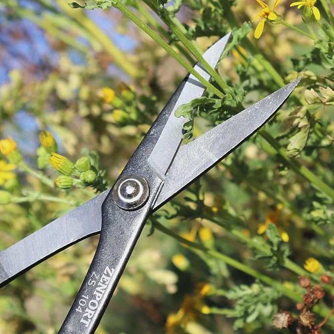 Zenport ZS104 Deluxe Scissors for Garden, Crafts and Horticulture, 8-Inch, Box of 12, red/White (ZS104-12PK)