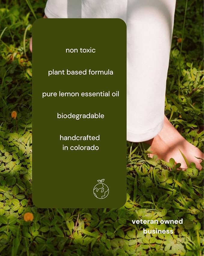 Steve's Cleaners Plant-Based Multi-Surface Cleaner – Streak & Residue-Free All-Purpose Cleaning Spray – Non-Toxic, Ammonia-Free, Safe for Kitchen, Bathroom, Counters & More – 32 oz (Pack of 3)