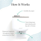 AERA Mini In Bloom Home Fragrance Scent Refill - Notes of Plumeria and Jasmine - Works with Aera Mini Diffuser, Mini Scent Capsule Size - Limited Edition