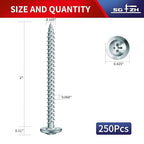 #8 x 2 Inch Wood Screw 250Pcs Alloy Steel Standard Thread Truss Head Fast Self Tapping by SG TZH