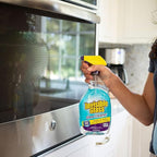 Invisible Glass 92194 Premium Glass and Window Cleaner for Auto and Home Cleans Glass, Windows, Mirrors, and More, Streak-Free, Ammonia-Free, Tint-Safe, 32 Fl Oz
