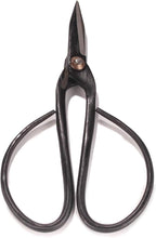 BambooMN Brand - 7.25" Black Bonsai Shear - 3 Shears