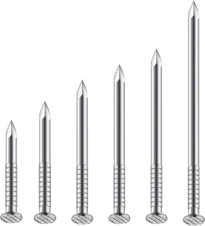 (55 pcs)2-1/2 inch Stainless Steel 304 Nails, Hanging Nails, Wall Nails, Dowels, Long Nails