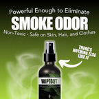 Chronic Wipeout Smoke Smell Eliminator for Home, Cars, Clothes, & More | Smoke Odor Eliminating Spray for All Kinds of Strong Smoke | Gifts for Smokers - Apple, Bamboo Teak, & Unscented 3 Pack - 4 oz