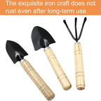 Waziaqoc 3Pcs Mini Garden Tools, Small Indoor Gardening Tools Includes Hand Shovel, Transplant Spade, Hand Rake with Wood Non Slip Handle for Plant Succulent, Flower, Vegetables
