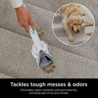 Value Carpet-Xpert Deep Clean Pro Formula Carpet Cleaner, Value 48 oz | Stain-Striker Technology, 20X More Stain-Fighting Power, Perfect for Pets, Compatible with All Shark Carpet Cleaners