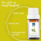 Ylang Ylang Essential Oil - Pure Organic Essential Oil for Skin & Hair Care, Massage, Diffuser, Spray, DIY Candles & Soap - 10mL