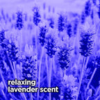 Dryer Sheets: Spring Lavender Scented Laundry Fabric Softener Sheets - Reduces Wrinkles - Controls Static - Softens Fabric (240 Count)