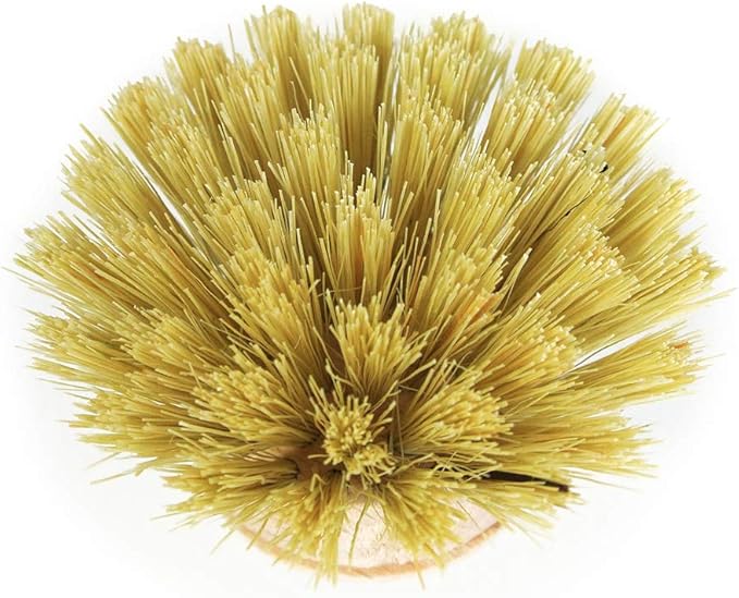 REDECKER Tampico Fiber Replacement Head Made with Untreated Beechwood, 1-5/8-Inches - Wooden Dish Brush Replacement Head - Dish Scrub Brush