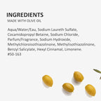 Fruits & Passion Cucina Dish Soap Detergent Refill Sea Salt and Amalfi Lemon-500ml