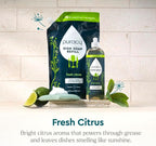 Puracy Natural Dish Soap - Skin-Softening Plant-Based Dishwashing Soap, Non-Toxic Dish Soap, Organic Liquid Dishwashing Detergent Soap (Fresh Citrus, 16 fl oz)