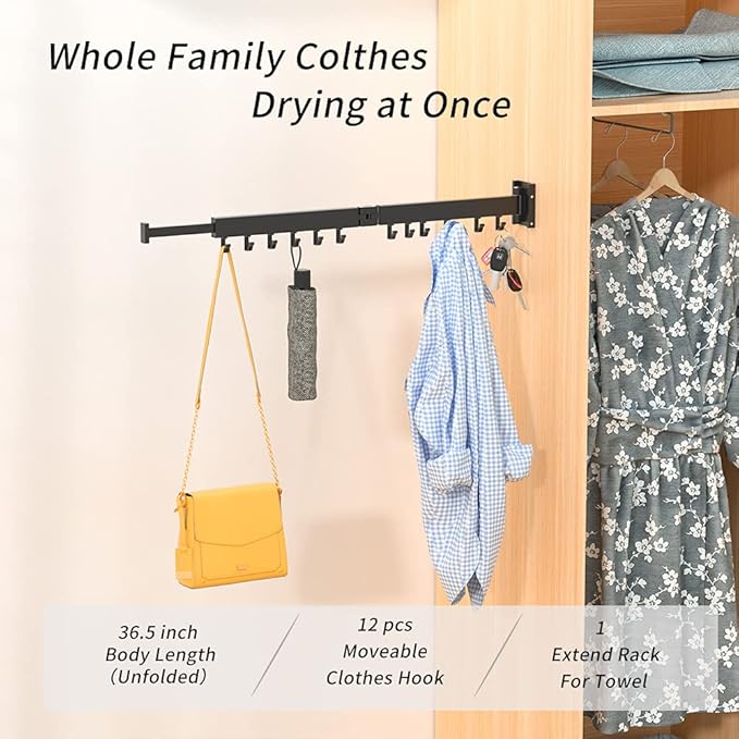 PLKO Retractable Clothes Drying Rack,Wall Mounted Clothes Hangers，Space Saver Laundry Drying Rack for Balcony,Laundry,Bathroom,Patio and Bedroom (2-Pole Black)