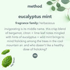 Method Daily Shower Spray Cleaner, Eucalyptus Mint, 28 Ounce, 1 pack, Packaging May Vary (Pack of 3)